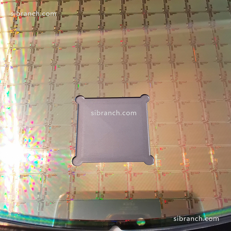 12 inch Pocket Wafer